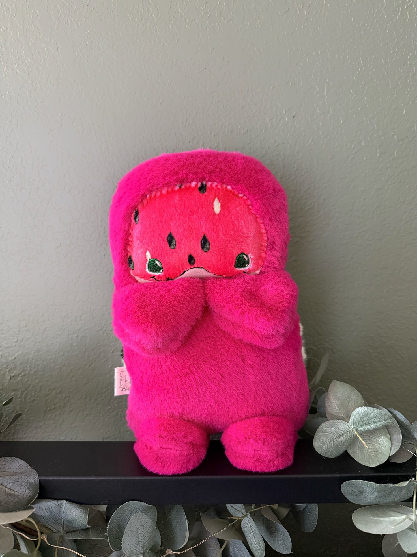 Watermelon Turtle