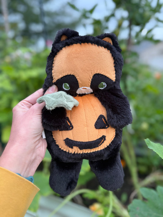 Jill the Pumpkin Kitty Spray