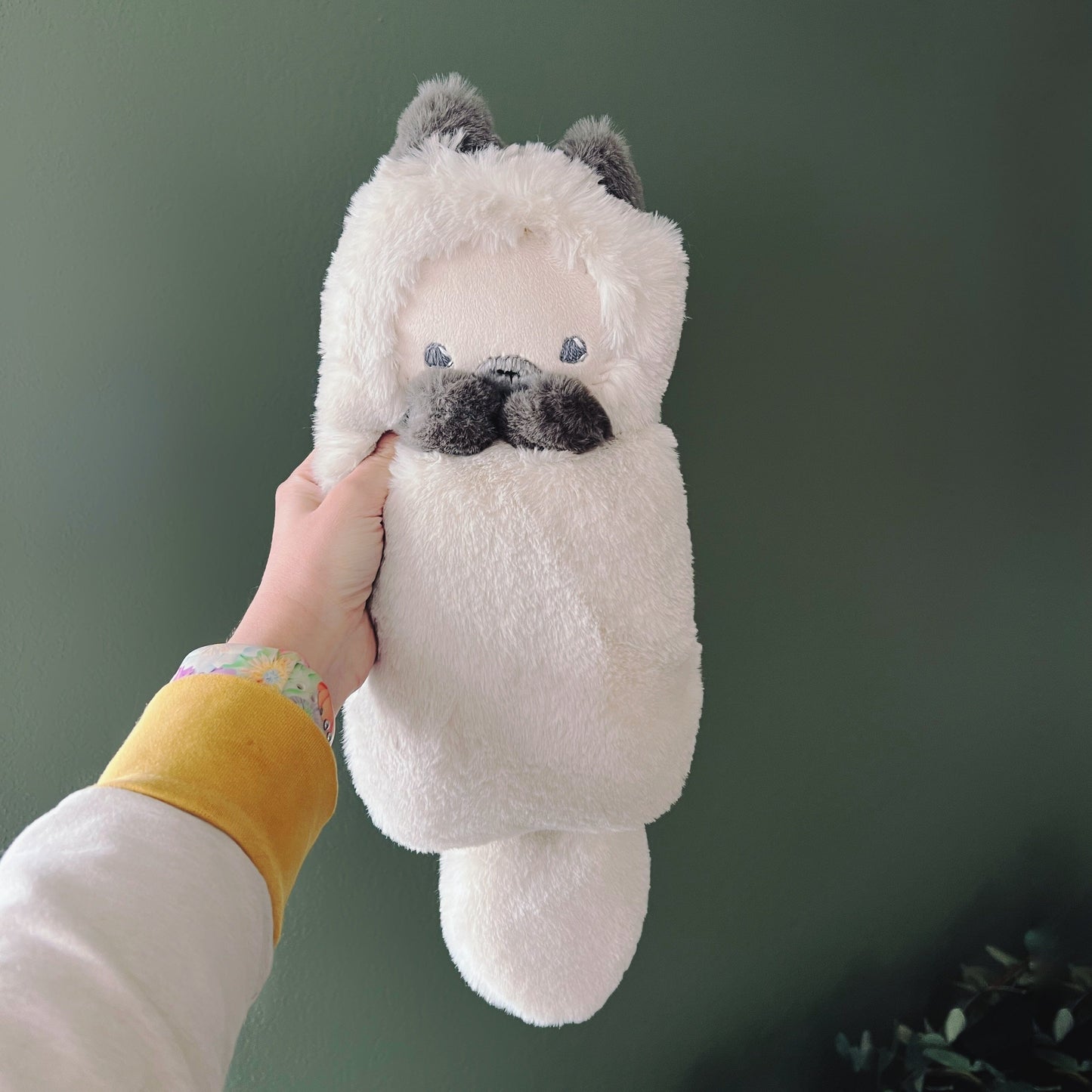 Wilfred