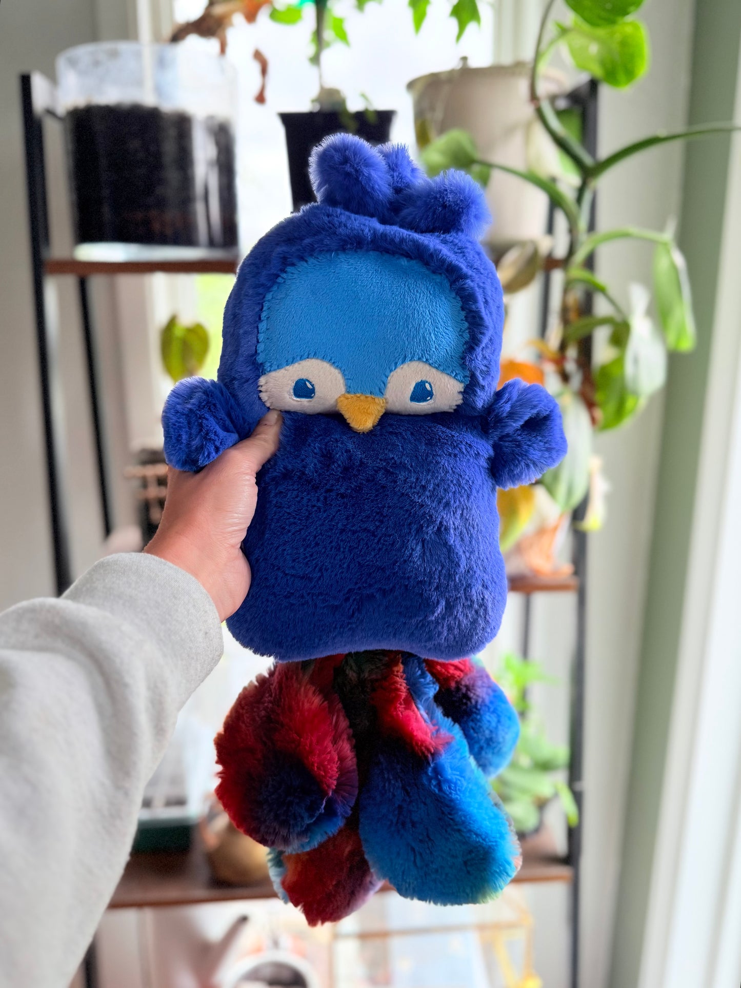 Blueberry Peacock
