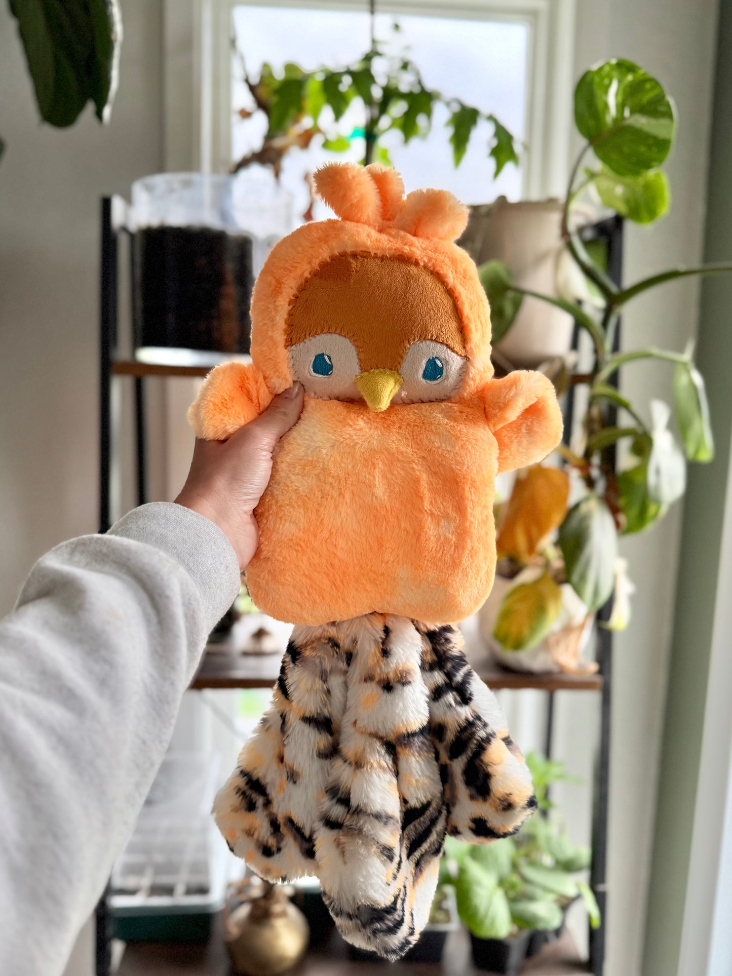 Tangerine Peacock