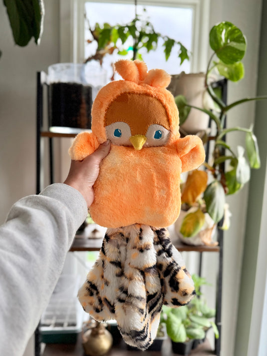 Tangerine Peacock