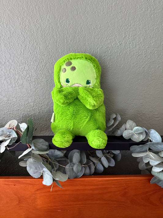 Pickle Turtle