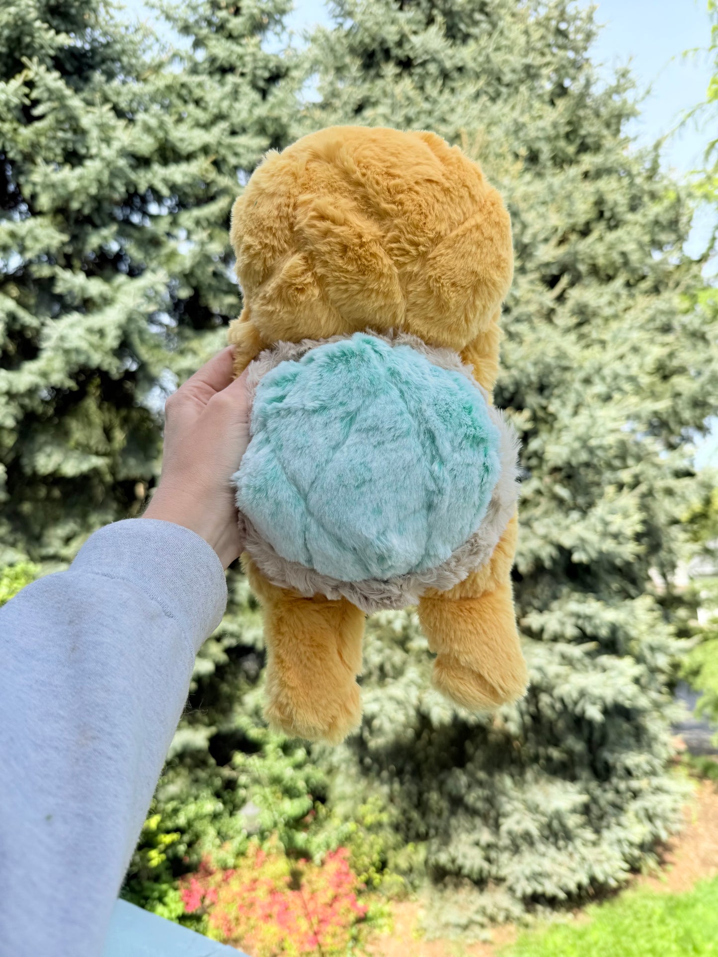 Cantaloupe Turtle