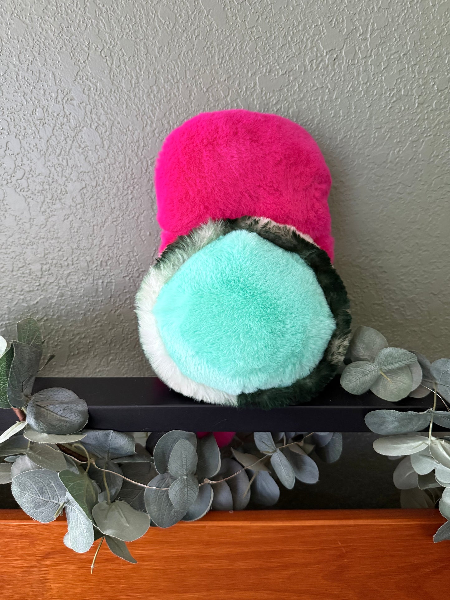 Watermelon Turtle