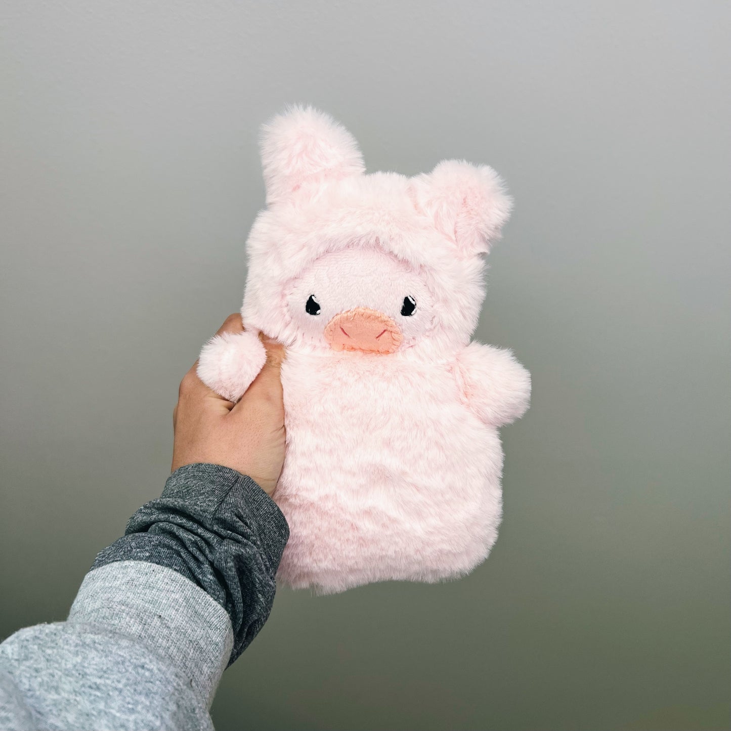 Piggy Mist
