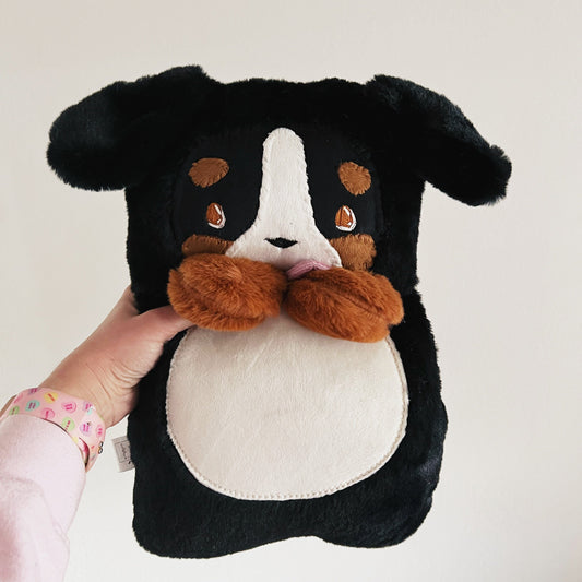 Bernese Mountain Dog