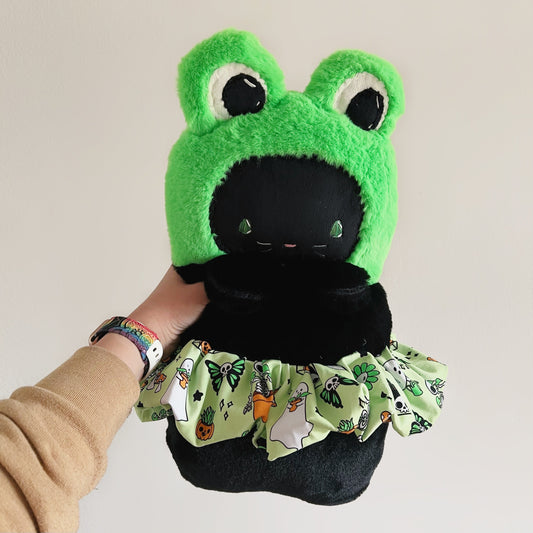 Froggy Kitten