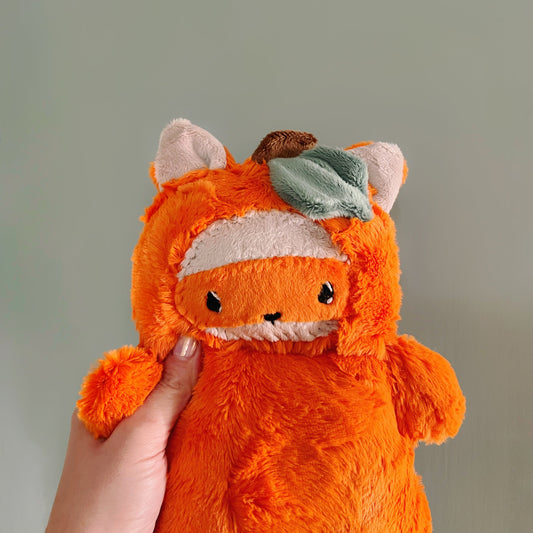 Pumpkin Raccoon Mist