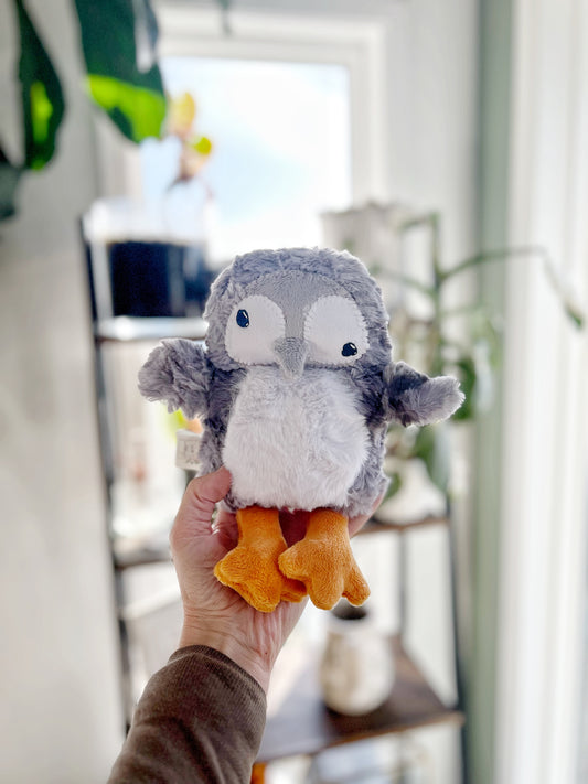 Pierre