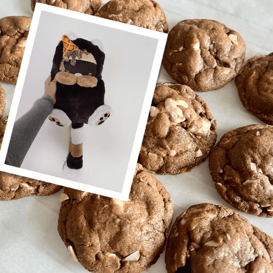 Rocky Road Raccoon (chocolate)