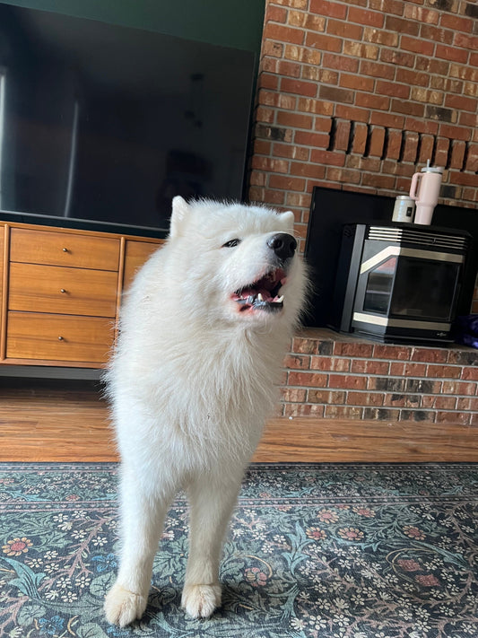 Please Turn back! Now!