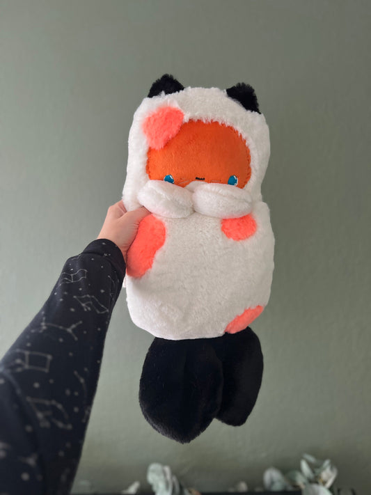 Koi Kitty