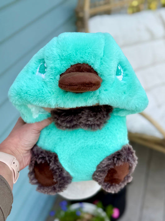 Capy Platy
