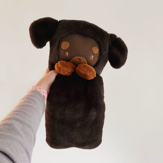 Chocolate Dachshund